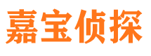 团风调查事务所